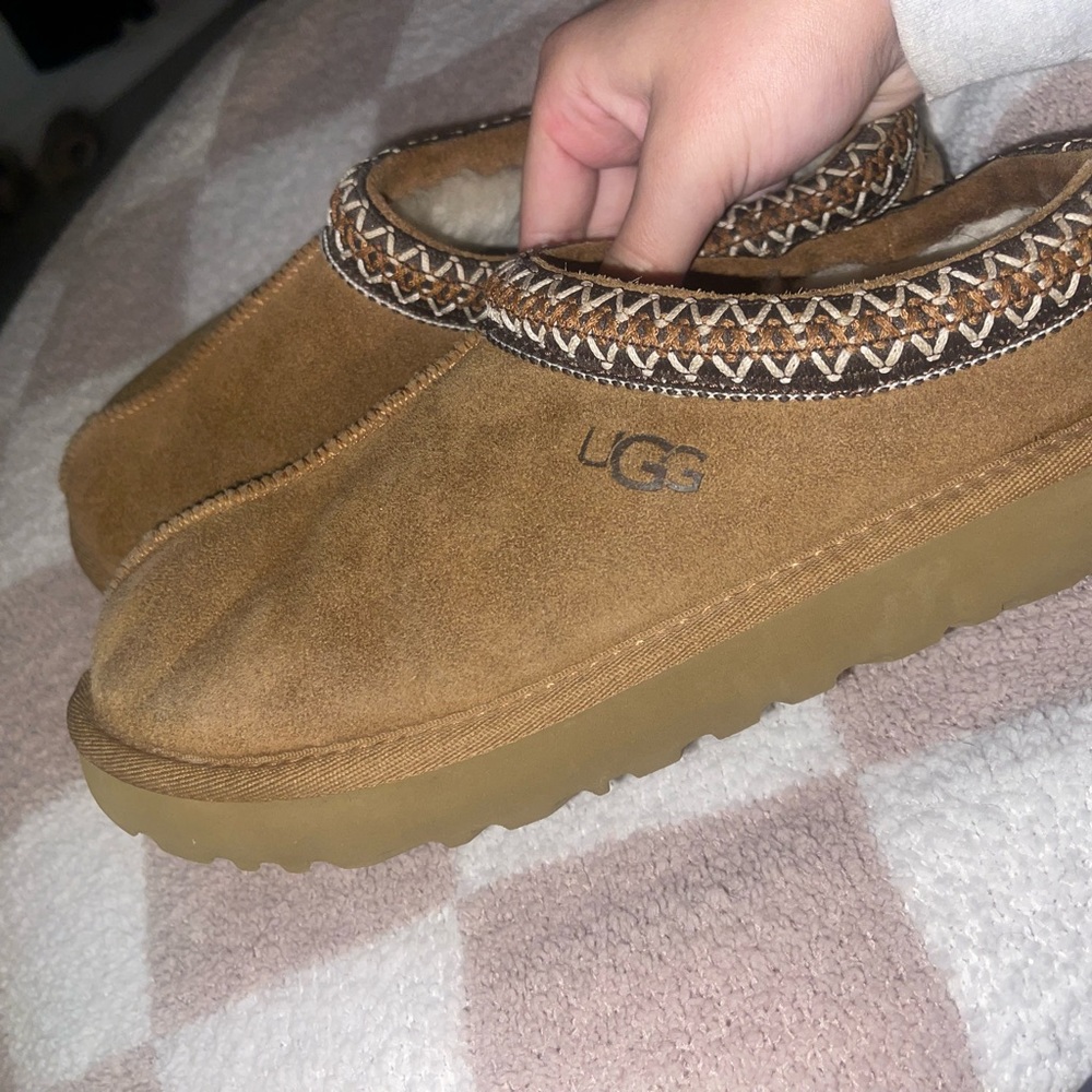 UGG Tasmans